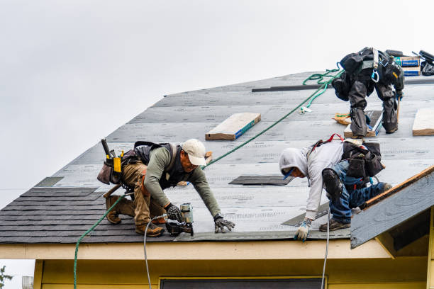 Professional Gutter Installation technician working in Meridian, NY